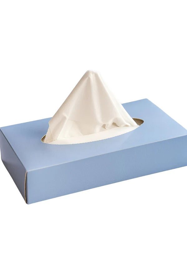 Kosmetiktücher 2-lagig hochweiß Zellstoff- 32 Kartons pro Palette á 40 Boxen